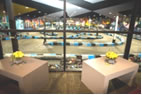 X-Treme Action Park in Pompano Beach
